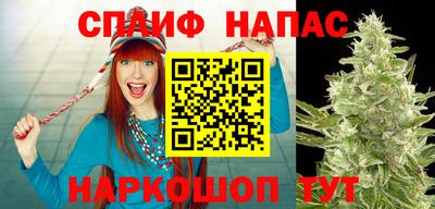 Альфа ПВП Бердск