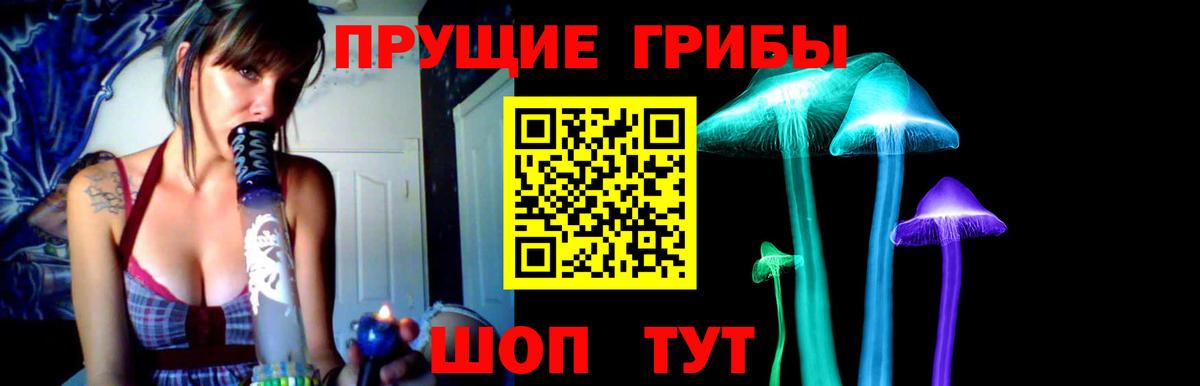 Галлюциногенные грибы мицелий  Галлюциногенные грибы прущие грибы  Нарьян-Мар 